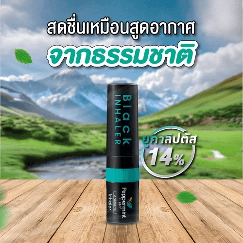 ยาดม เป๊ปเปอร์มิ้นท์ ฟิลด์ แบล็คอินเฮเลอร์ ขนาด 2 ซีซี จำนวน 120 ชิ้น